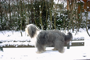 Odace, le m&ecirc;me banc et plus de neige